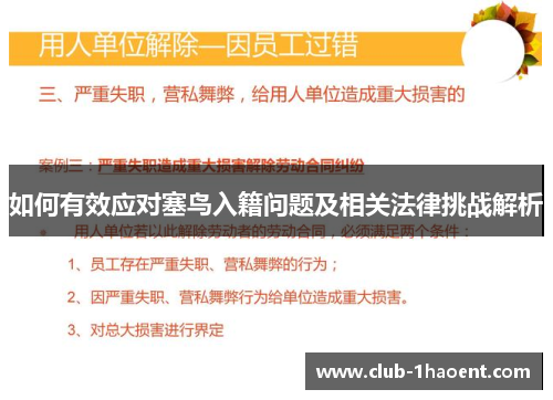如何有效应对塞鸟入籍问题及相关法律挑战解析